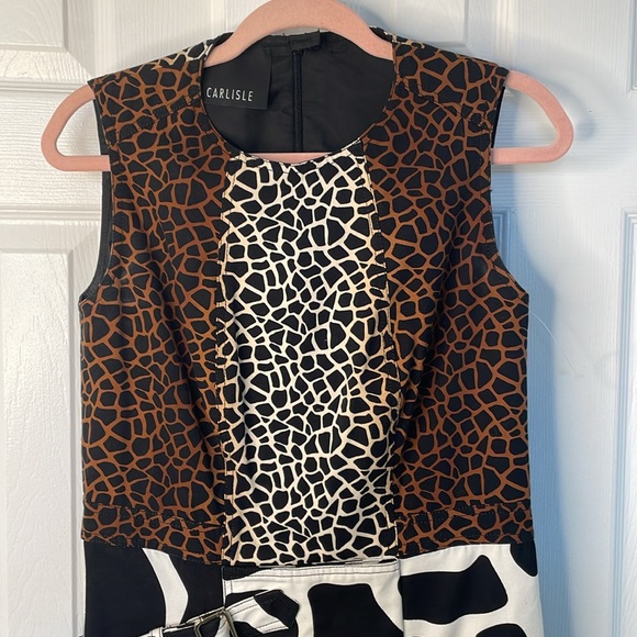 CARLISLE COLLECTION SLEEVELESS GIRAFFE LEOPARD PRINT A LINE STYLE DRESS SIZE 5/6 - Picture 3 of 12
